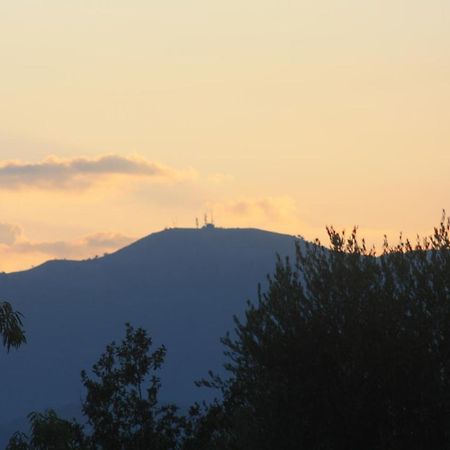 La Quercia Agriturismo Imperia Bagian luar foto